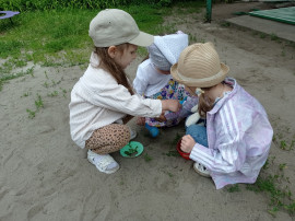 "Солнечное лето" "Солнечное лето".